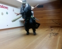 NYBall Baba Yaga